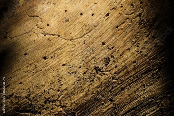 Fototapeta Tree Wood Texture