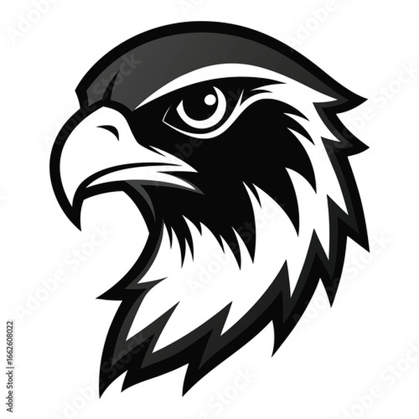 Fototapeta A clean, symmetrical, and isolated logo of a broad hawk's face, on a solid background