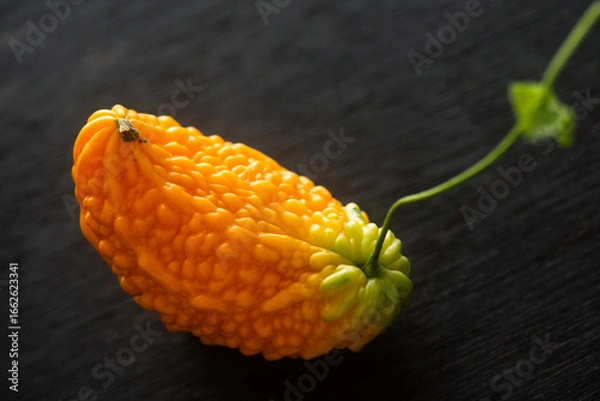 Obraz 熟したゴーヤ　黒背景