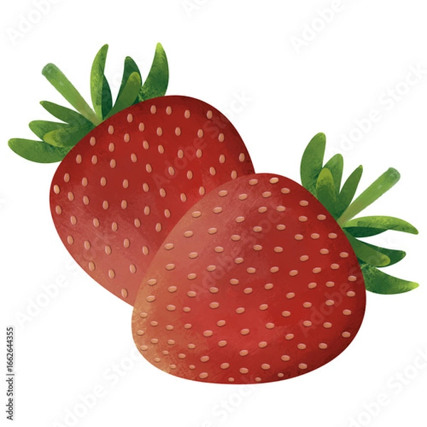 Fototapeta Strawberry Illustrations