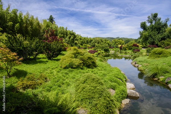 Fototapeta zen garten