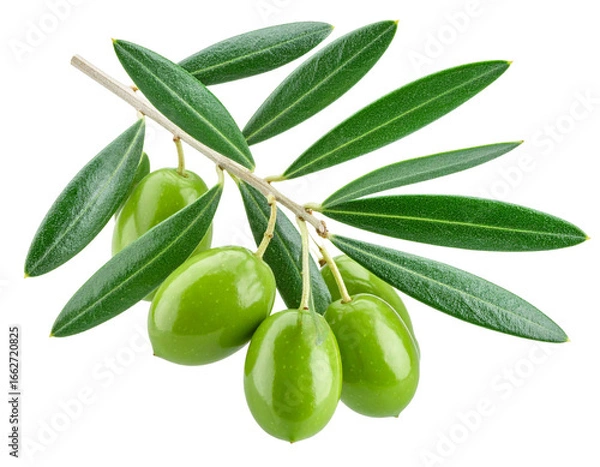 Fototapeta Firefly_Olive branch isolated on transparent background