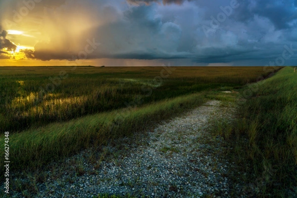 Fototapeta Path into the Field at Sunset