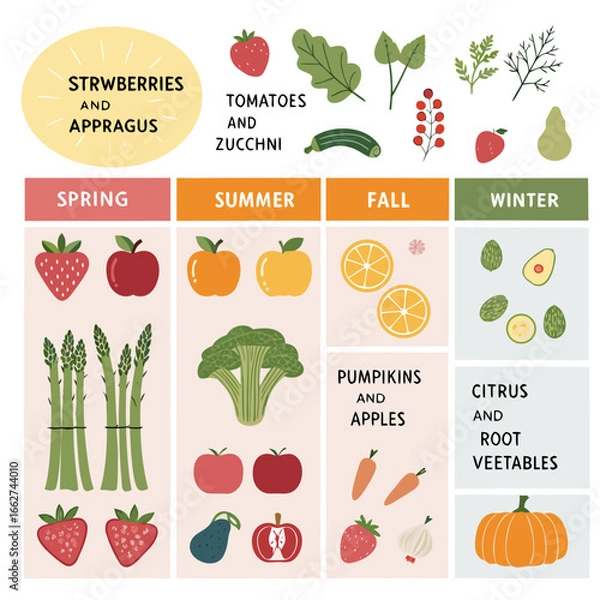 Fototapeta Seasonal produce infographic showing fruits and veggies by season with color codes, icons, timelines, and tips.