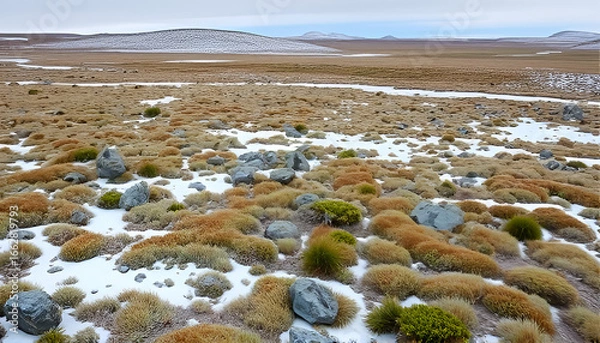Fototapeta snow covered rocks