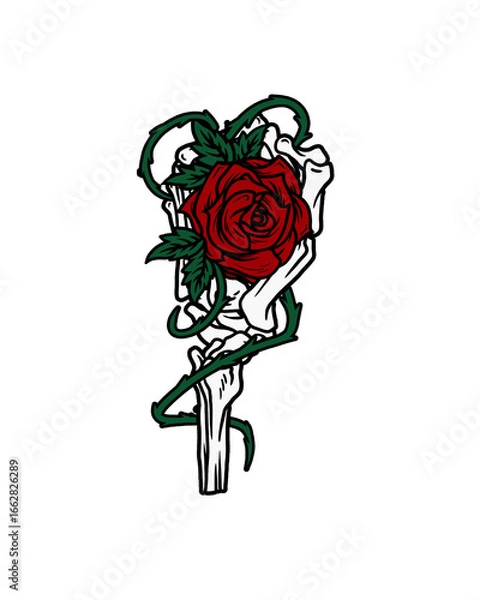 Fototapeta red rose and a rose