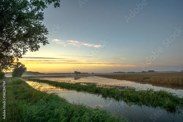 Obraz Corn field at sunrise and flood