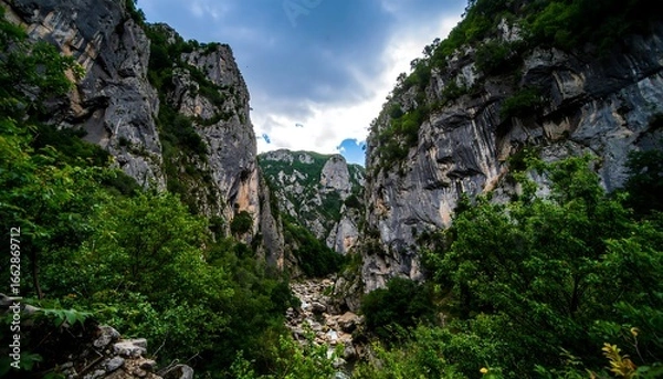 Obraz Mountain gorge with lush vegetation