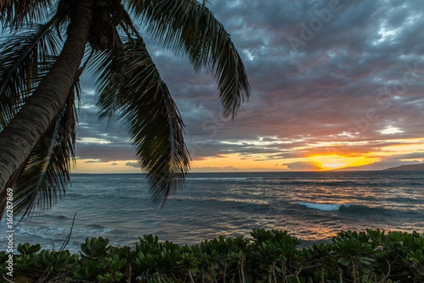 Obraz マアラエアの日没