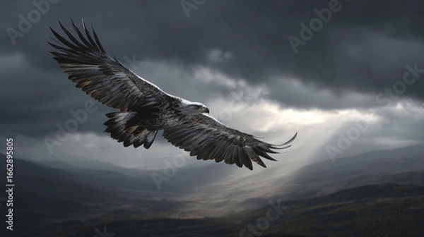 Fototapeta eagle flying high