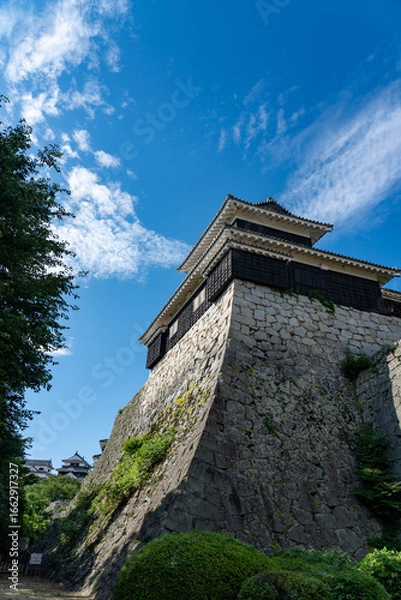 Obraz 夏の松山城