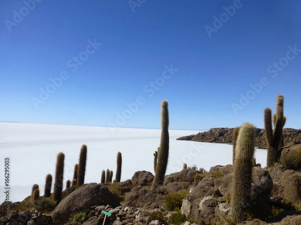 Obraz インカワシ島