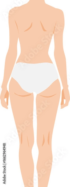 Fototapeta 女性のお尻のイラスト(腰)