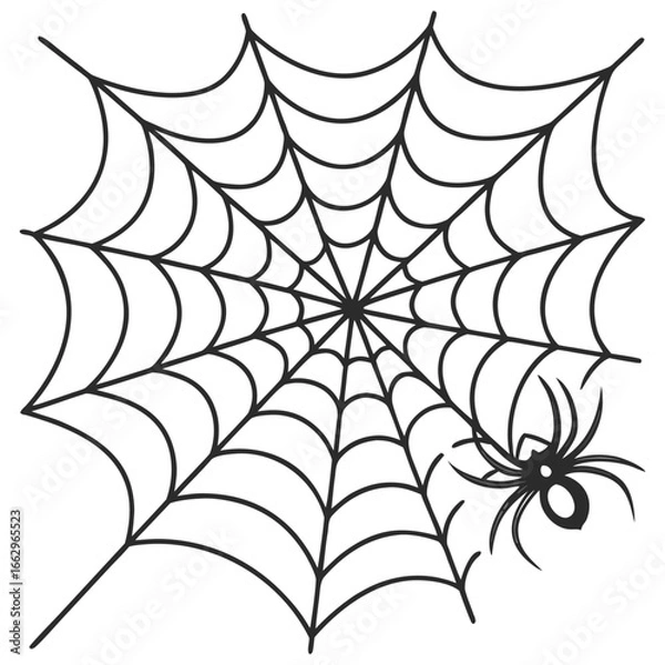 Fototapeta 
Spider web wallpaper
