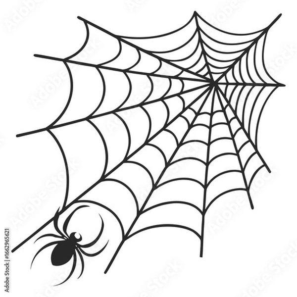 Obraz 
Spider web wallpaper