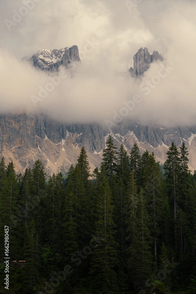 Fototapeta Latemar mountains above the forest in Dolomites