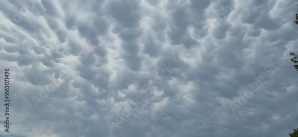Obraz Mammatus cloud in the sky