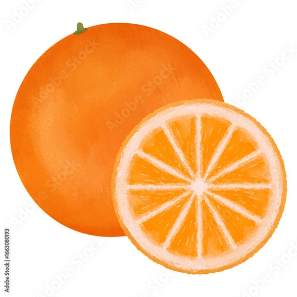 Obraz Whole And Sliced Orange Illustration