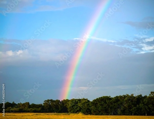 Obraz Rainbow arcing over a field