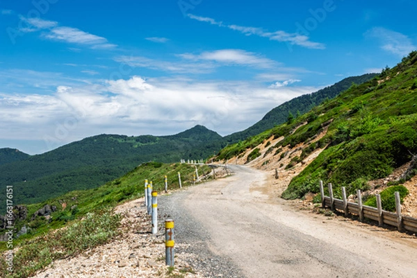 Fototapeta 毛無峠のダート道