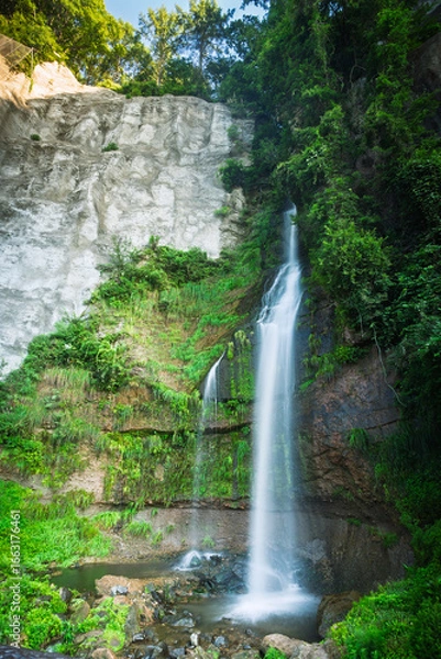 Fototapeta 夏の朝の瀬戸の滝