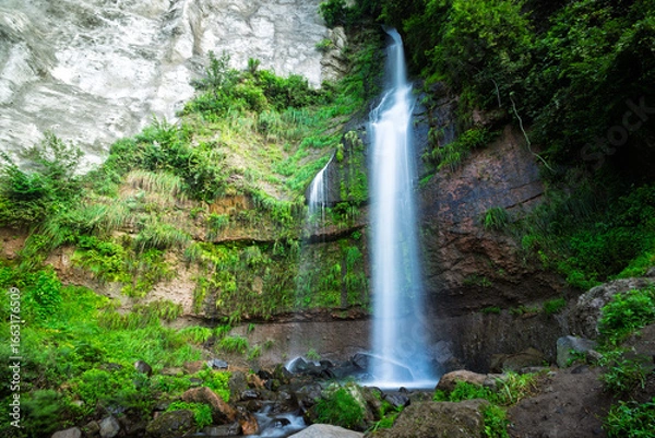 Fototapeta 夏の朝の瀬戸の滝