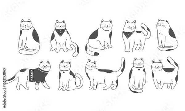 Fototapeta Cute cats clipart. Funny cats in different poses. Collection cats hand drawn with contour lines on white background. Monochrome vector illustration. 