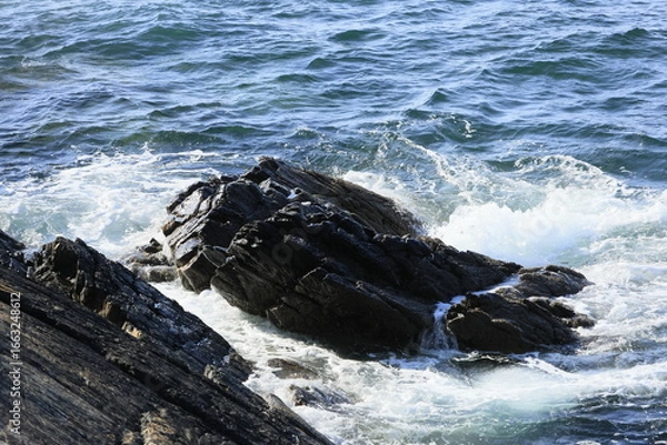 Obraz waves crashing on rocks