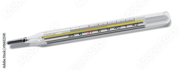 Obraz thermometer