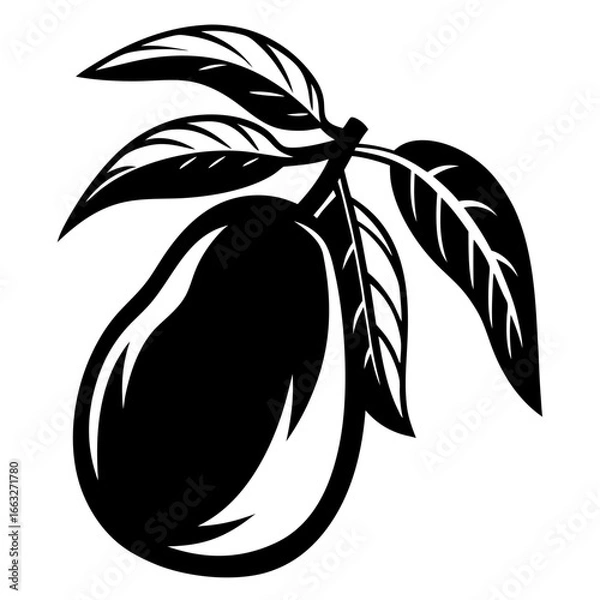 Obraz Monochrome mango fruit with detailed leaves for various graphic uses