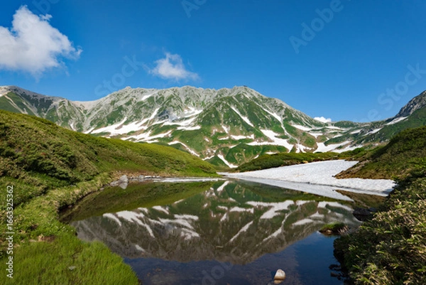 Fototapeta 立山 みどりが池