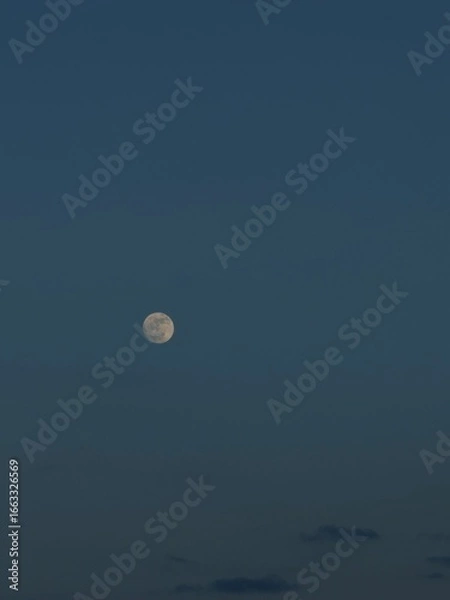 Obraz full moon over the blue sky