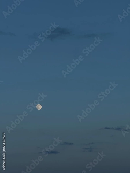 Obraz full moon over the sea