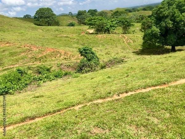 Fototapeta Agricultural land with hills and trees
