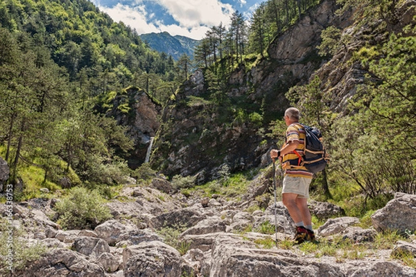 Obraz Hiker about 60 years old engaged in excursion.