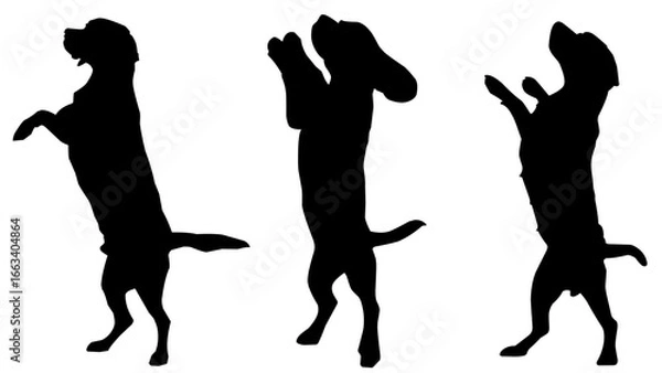 Obraz silhouette of standing dog