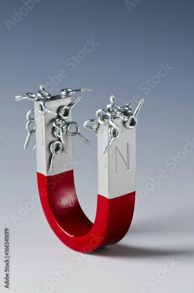 Obraz Physics. Horseshoe magnet.