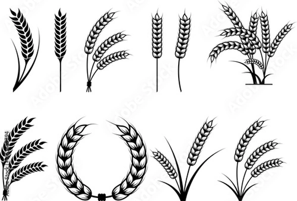 Fototapeta Wheat Eps, Vector Images Black and White
