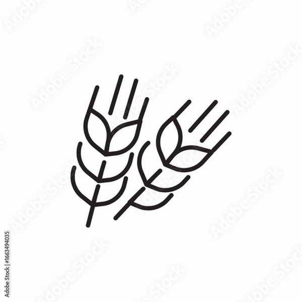 Obraz barley millet icon sign vector