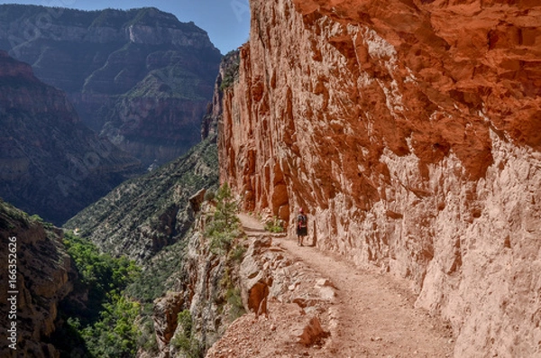 Fototapeta hiker on the North Kaibab trail passing through half tunnel in red llimestone wall of Roaring Springs Canyon
North Rim, Grand Canyon National Park, Arizona, USA 