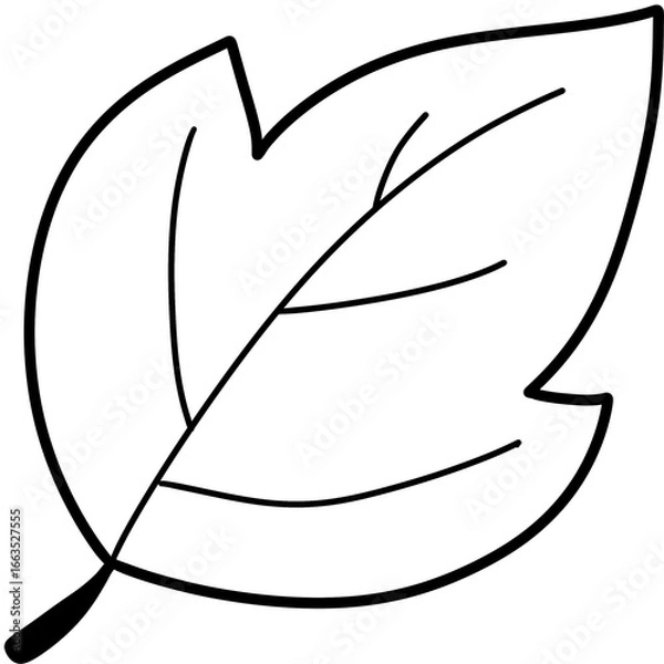 Obraz Autumn Coloring Autumn leaves and fall nature clipart set
Collection of autumn leaves, mushrooms, acorn, and pumpkin illustrations in warm fall colors, perfect for seasonal design and decoration proje