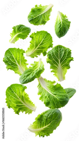 Fototapeta flying green lettuce leaves isolated on a transparent white background, clipping path