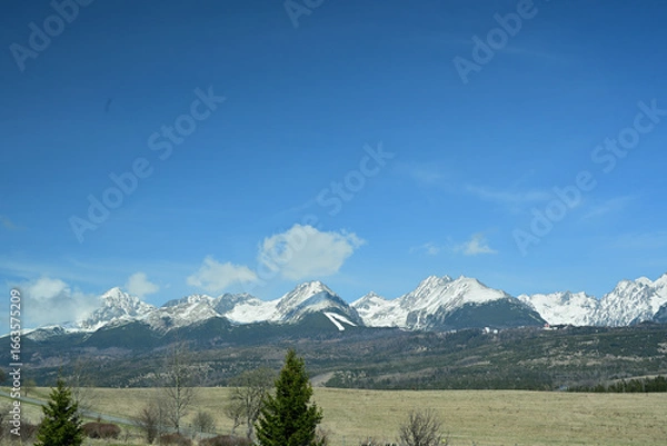 Fototapeta A distant view from the hill of the high peaks of snow-capped mountains High Tatra in spring
