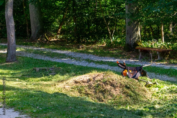 Fototapeta Pile of freshly cut grass in a park near a gravel path, gasoline brushcutter left beside, maintenance and care of green areas in summer.