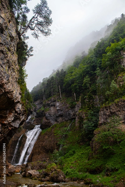 Fototapeta waterfall in the mountains