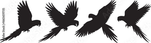 Obraz Flying macaw parrot silhouette vector graphic design element illustration set