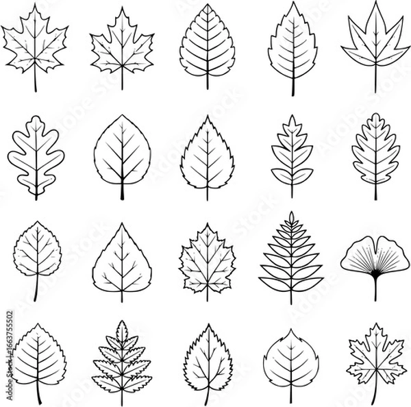 Obraz seamless pattern with autumn leaves