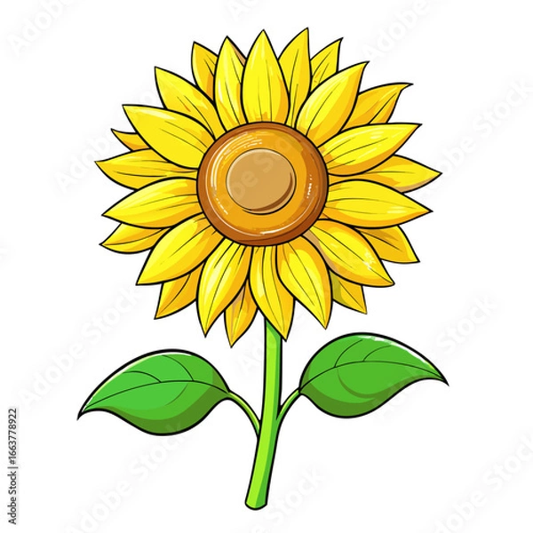 Obraz sunflower vector illustration