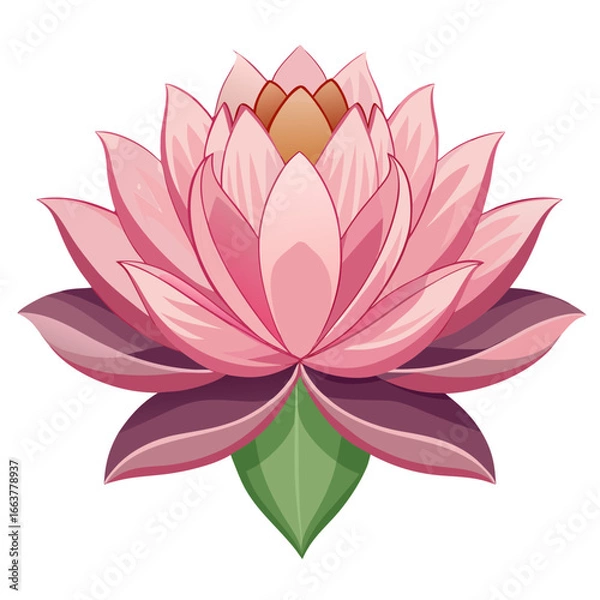 Obraz pink water lily