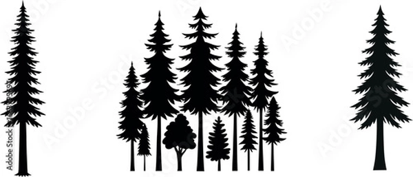 Fototapeta Silhouette of pine trees collection. black and white design for website